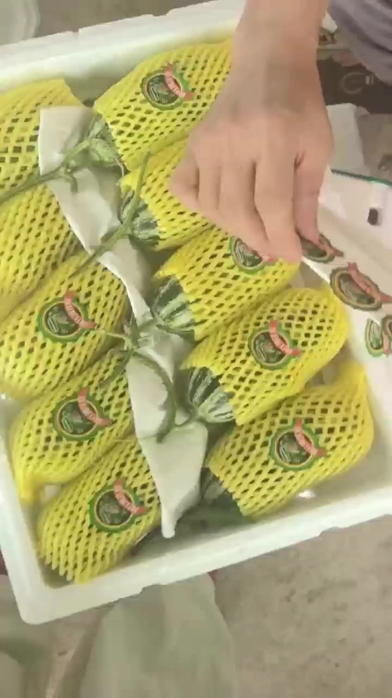 甜瓜