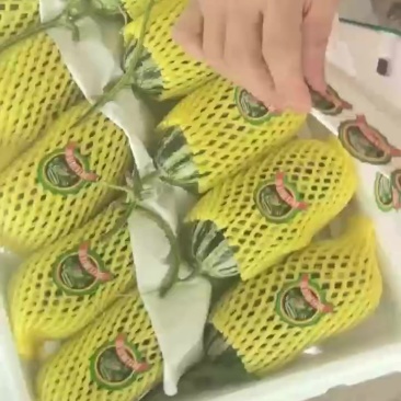 甜瓜