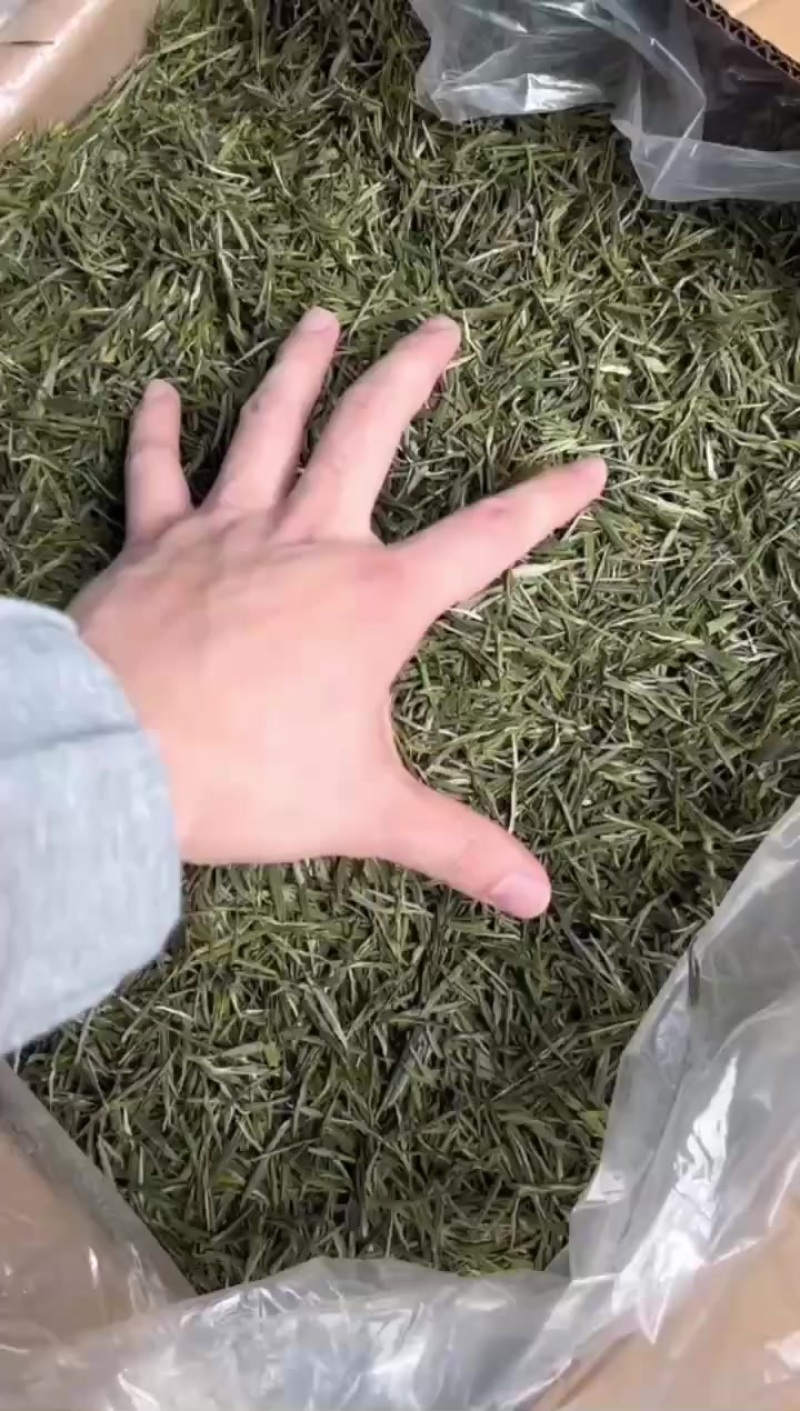 毛峰