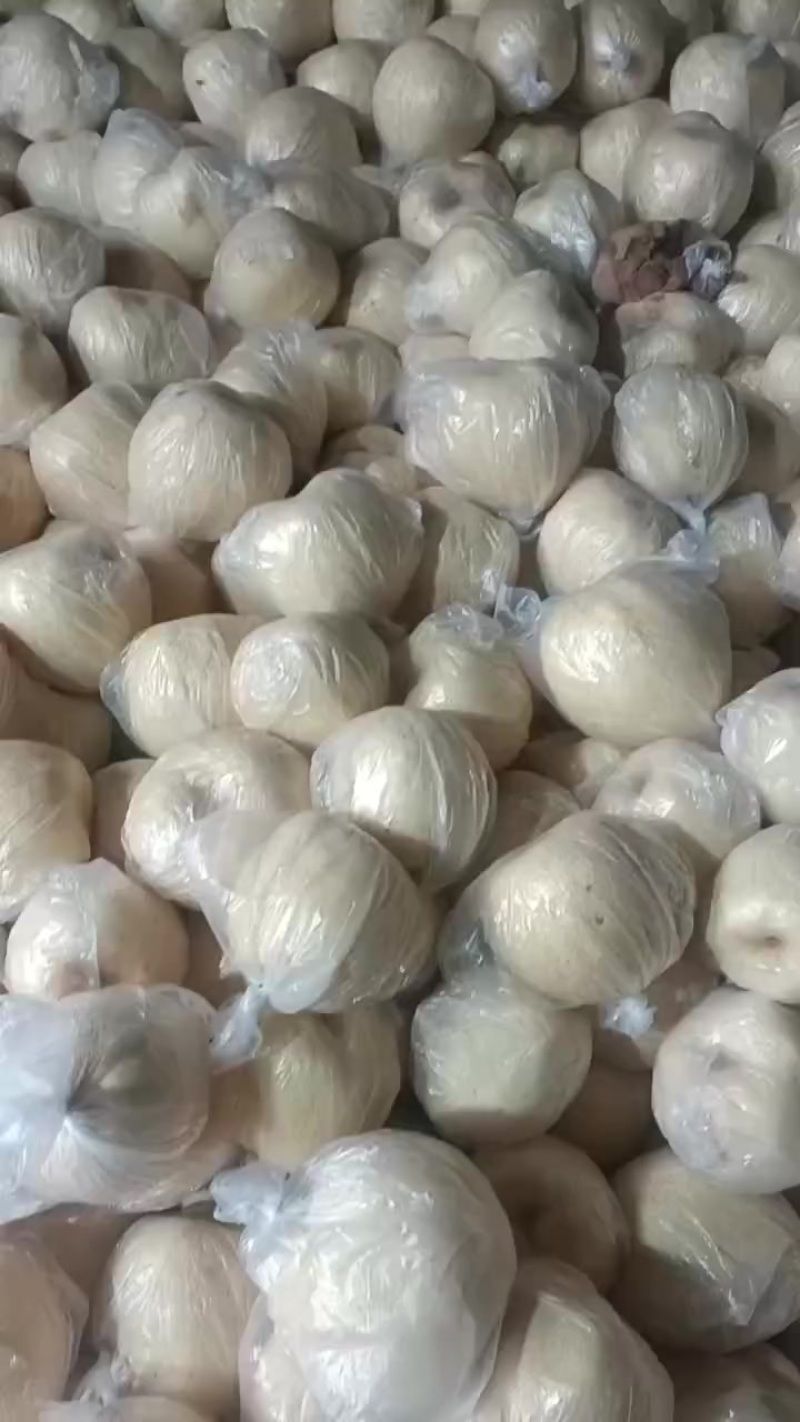 大家好，今天是3月10号，纸袋酥梨，光果梨大量有货。