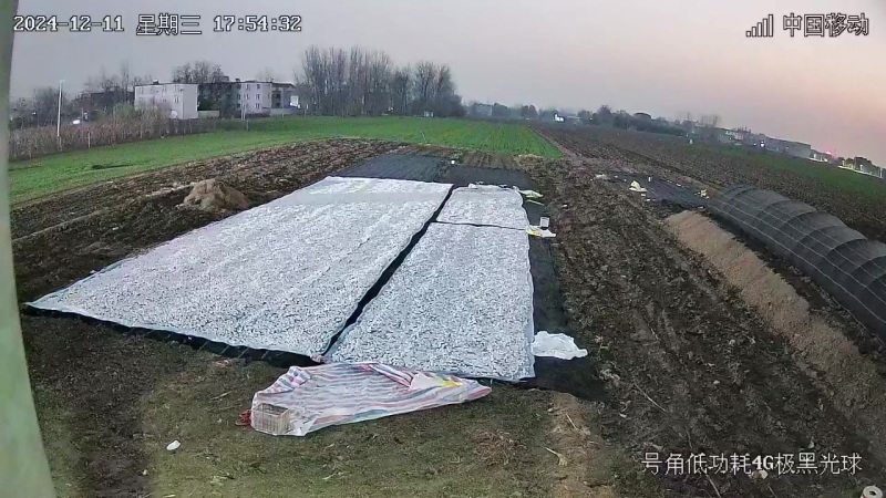 红薯淀粉