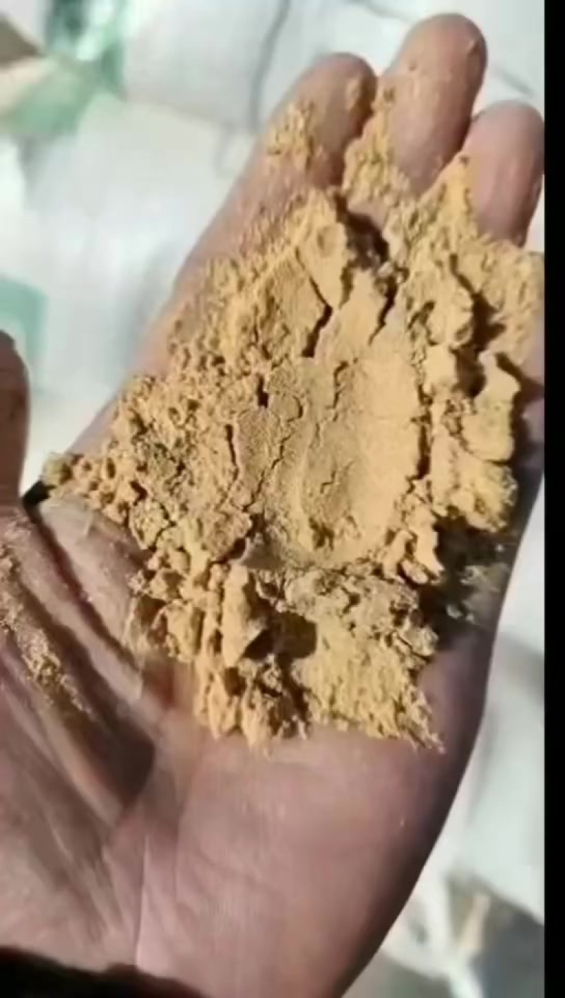 喷浆玉米面，饲料添加，降低成本！