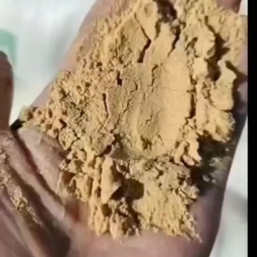 喷浆玉米面，饲料添加，降低成本！