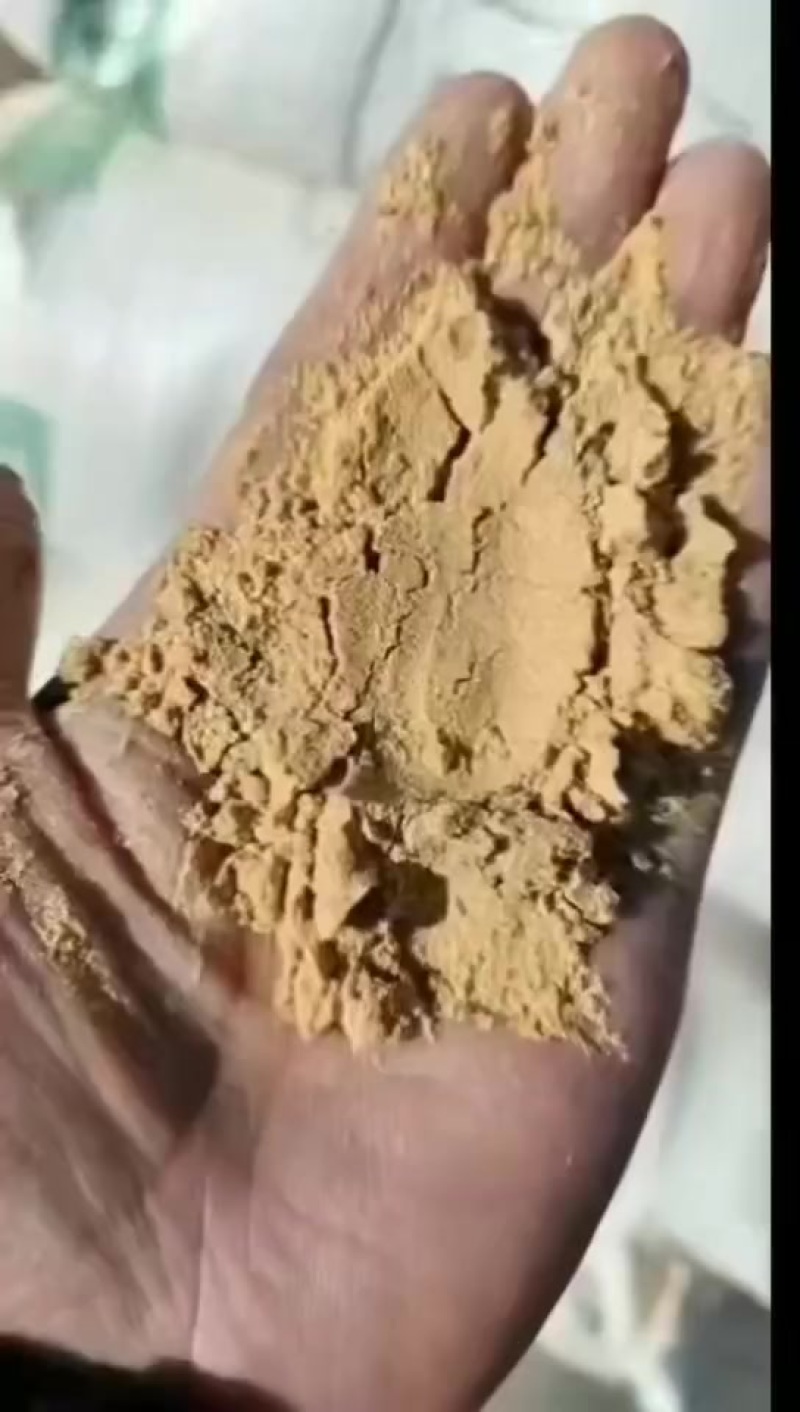 喷浆玉米面，饲料添加，降低成本！