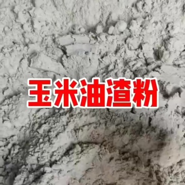 玉米油渣粉
