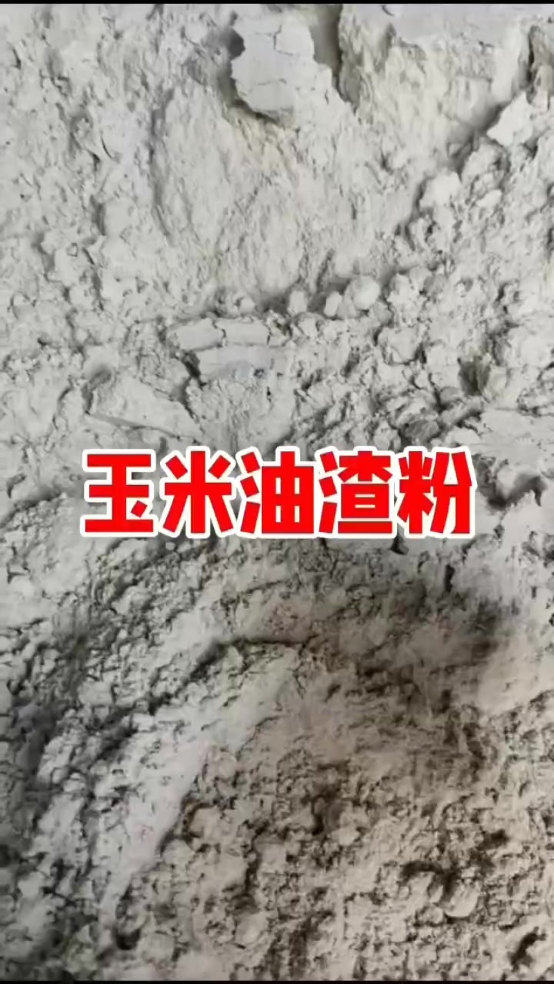 玉米油渣粉