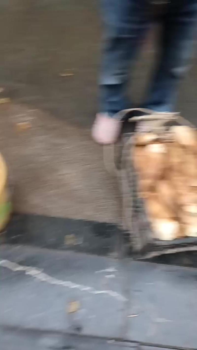 桂林市灌阳县文市镇，纯野生冬笋