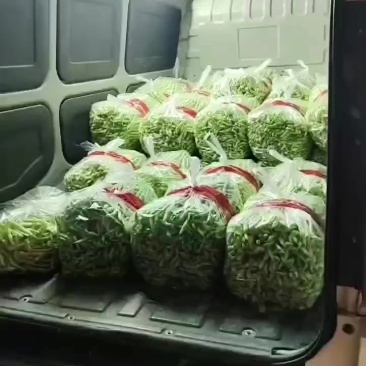 3.10号芸豆加班发车