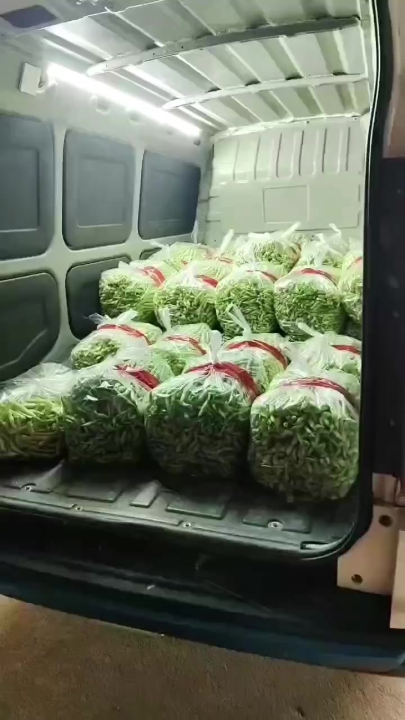 3.10号芸豆加班发车