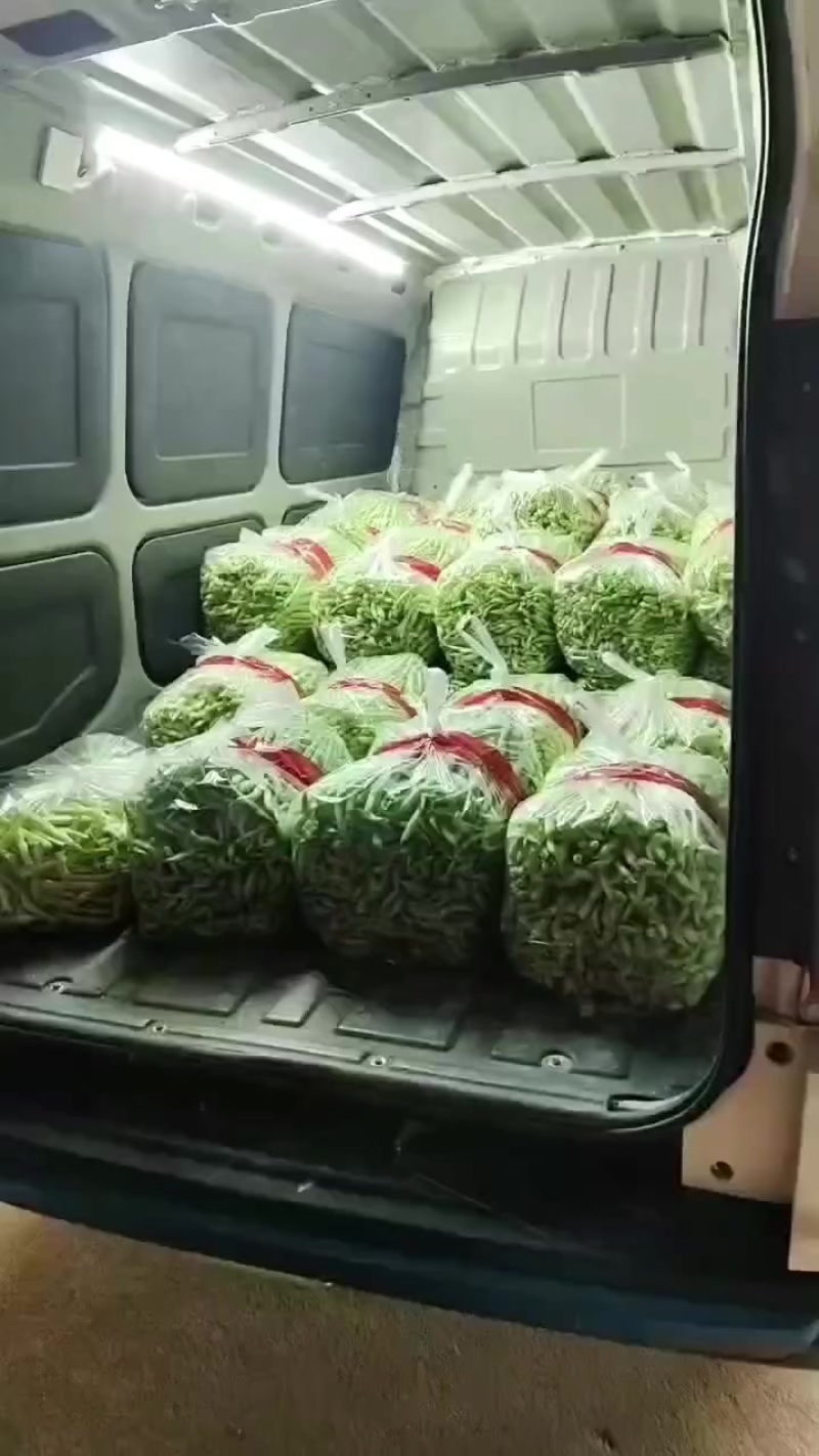 3.10号芸豆加班发车