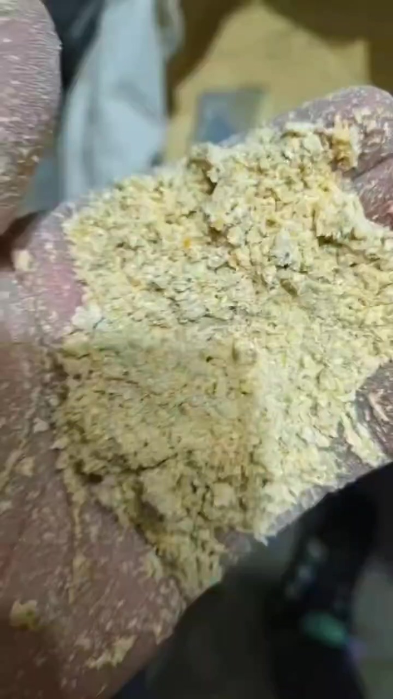 玉米次粉，代替玉米，食品厂下来的