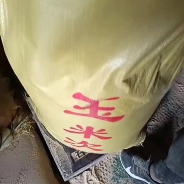 玉米次粉，代替玉米，食品厂下来的