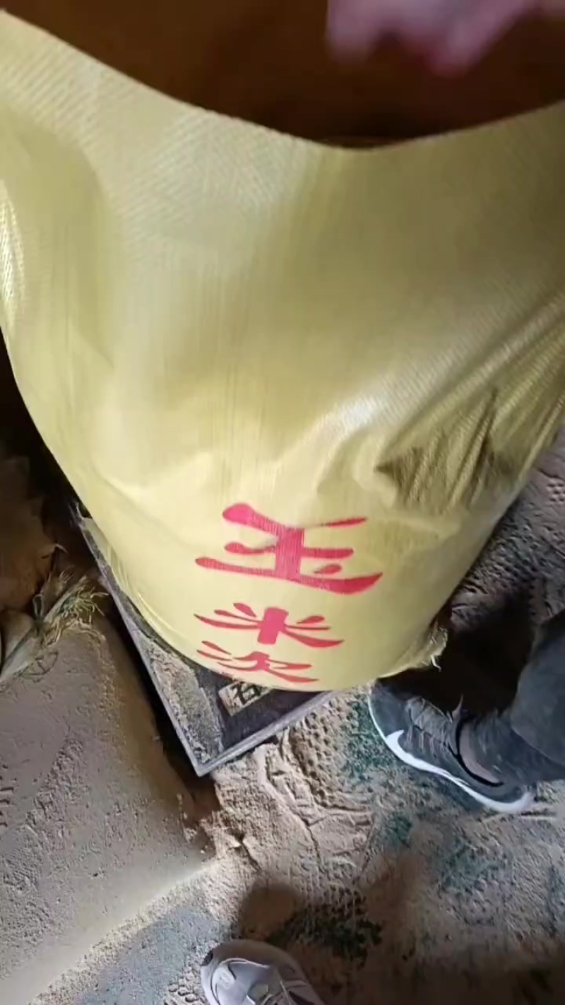 玉米次粉，代替玉米，食品厂下来的