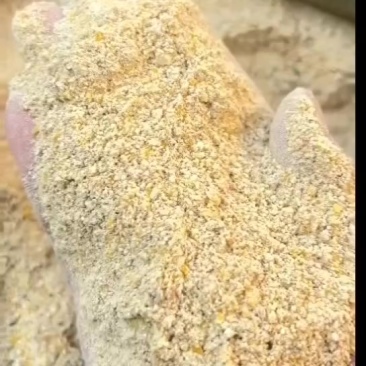 玉米次粉蛋白≥8脂肪≥6灰份≤3水分≤10饲料厂