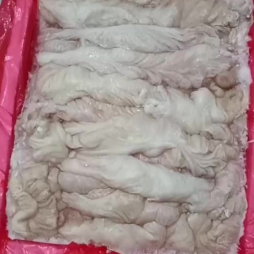 新鲜冷冻猪大肠干货去油