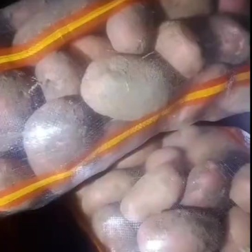红皮土豆