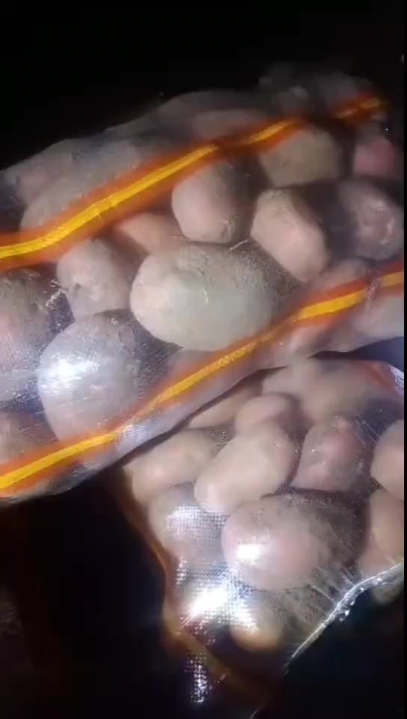 红皮土豆