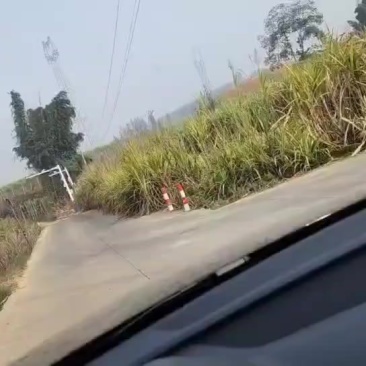 瑞丽猛秀乡，出租耕地370亩可种经济作物可当面谈