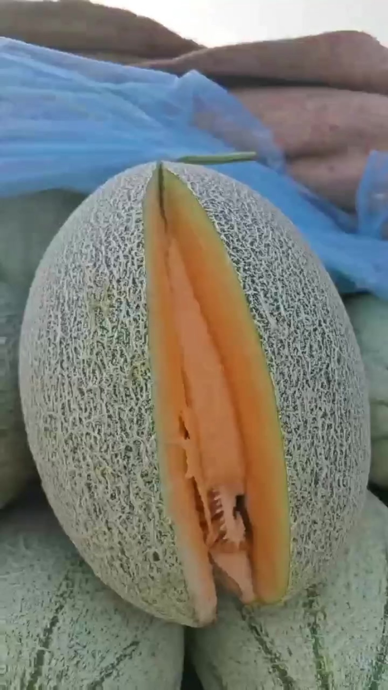 小蜜大量供应商超，市场，社区平台，量大质优