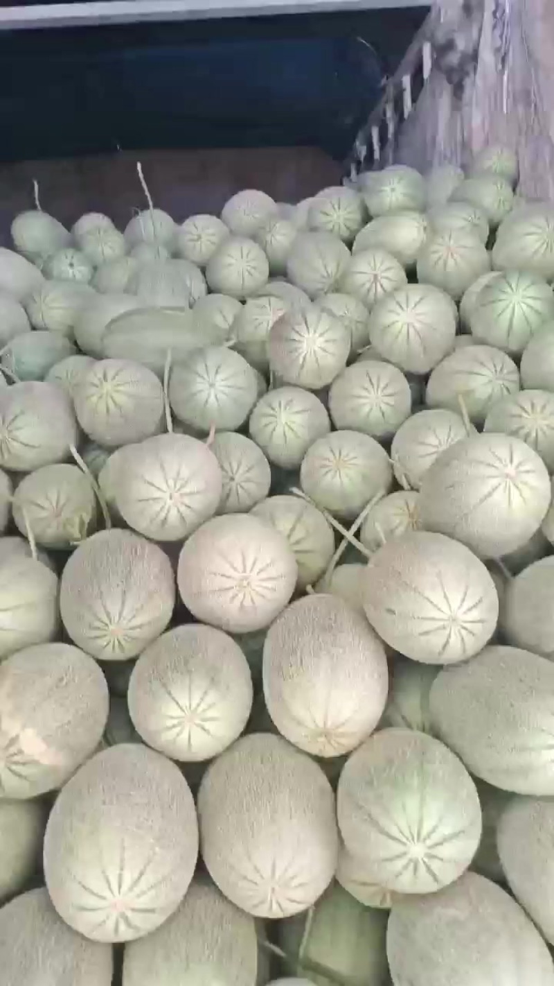 小蜜大量供应商超，市场，社区平台，量大质优