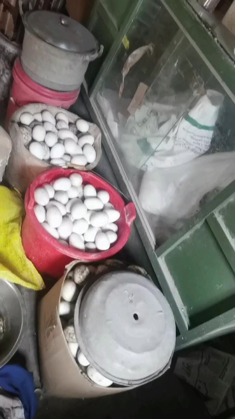 鹅蛋
