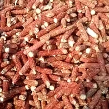 玉米芯
