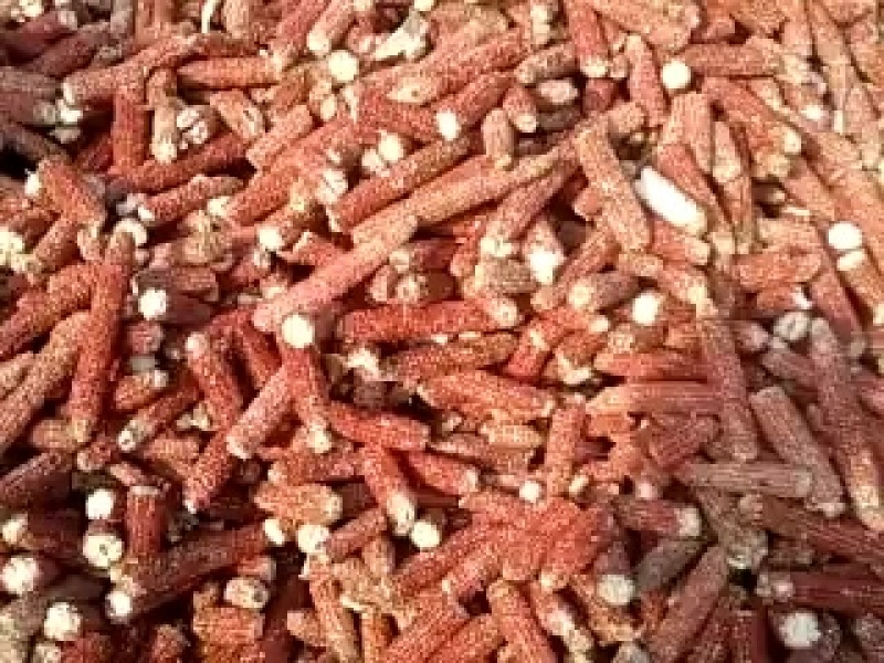 玉米芯