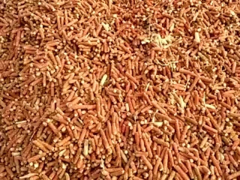 玉米芯