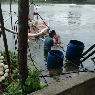 水产品
