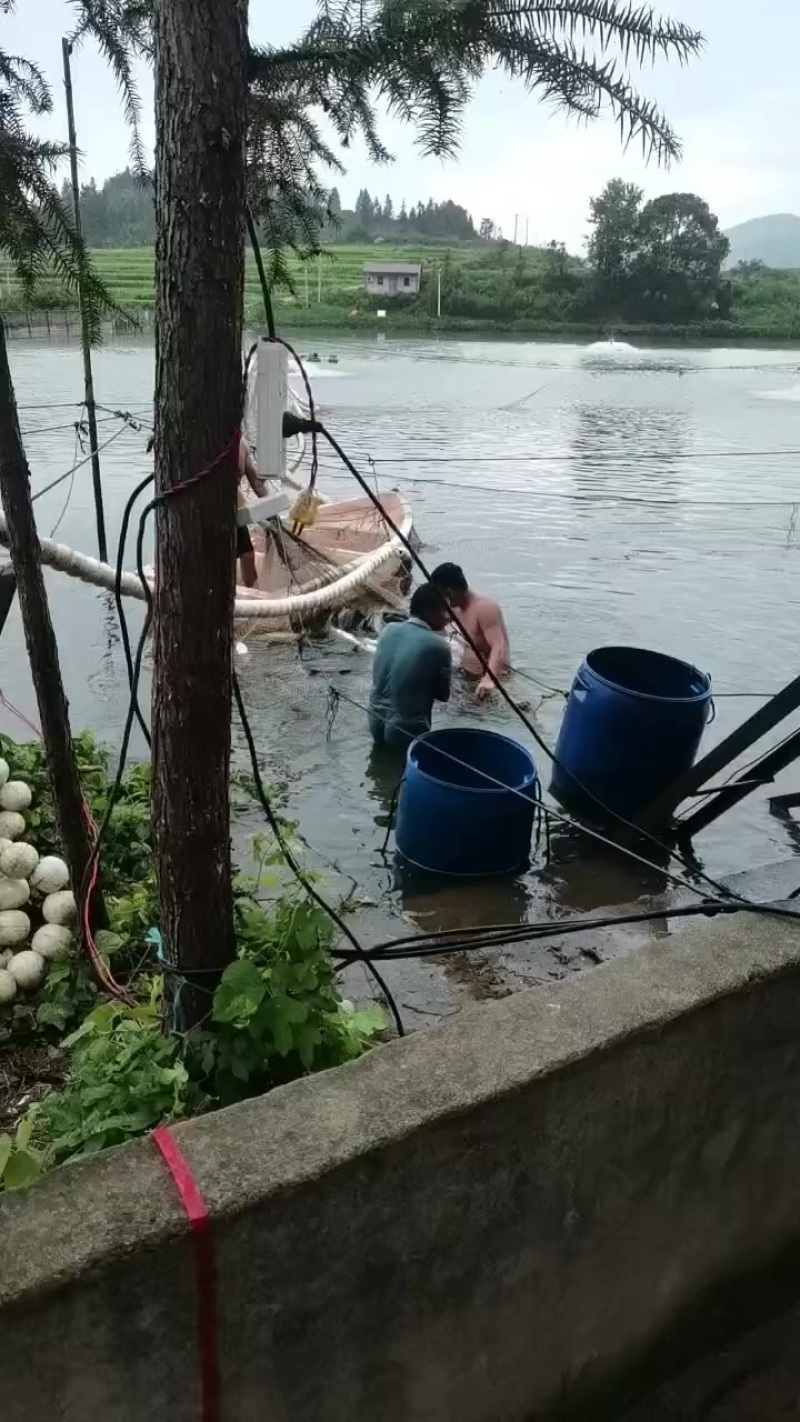 水产品
