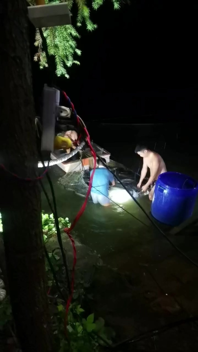 水产品