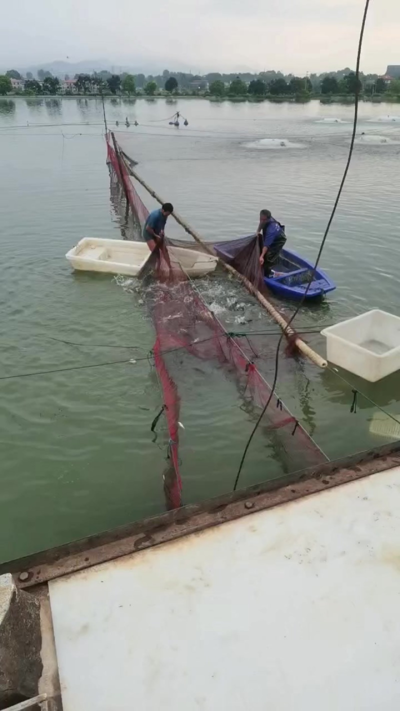 水产品