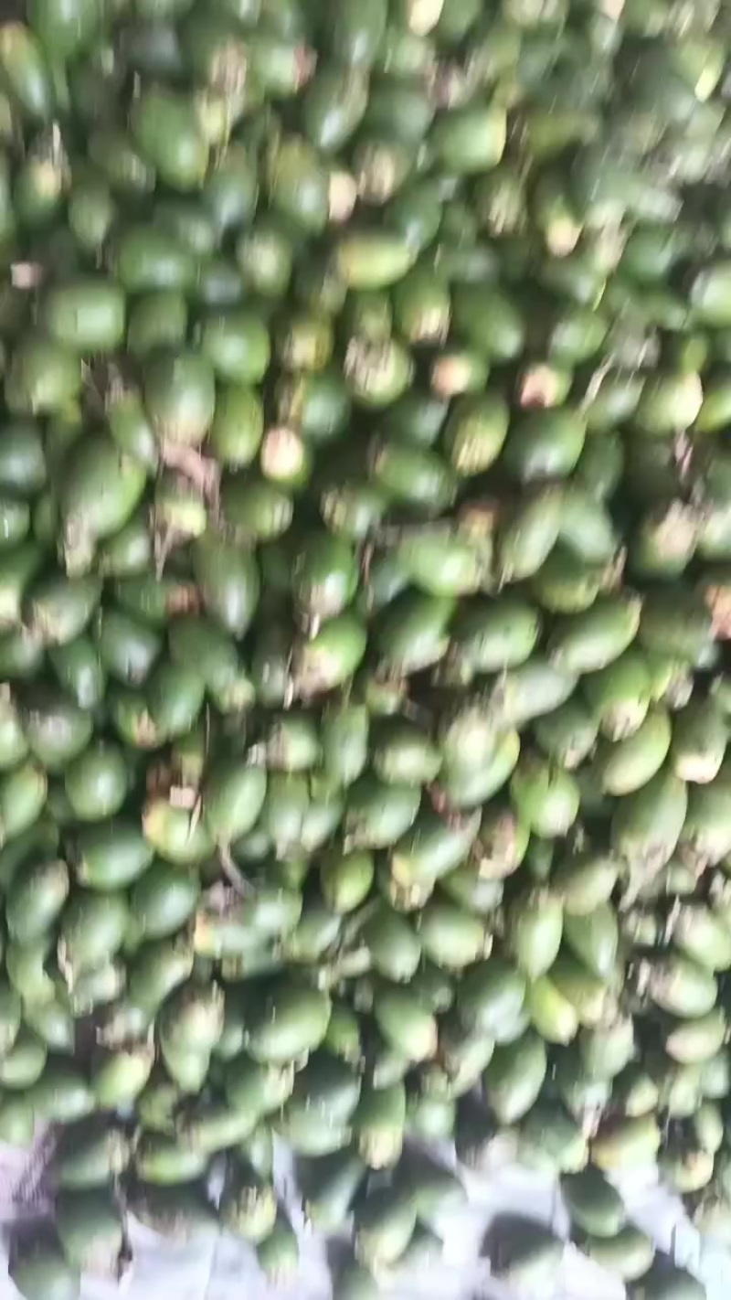 槟榔