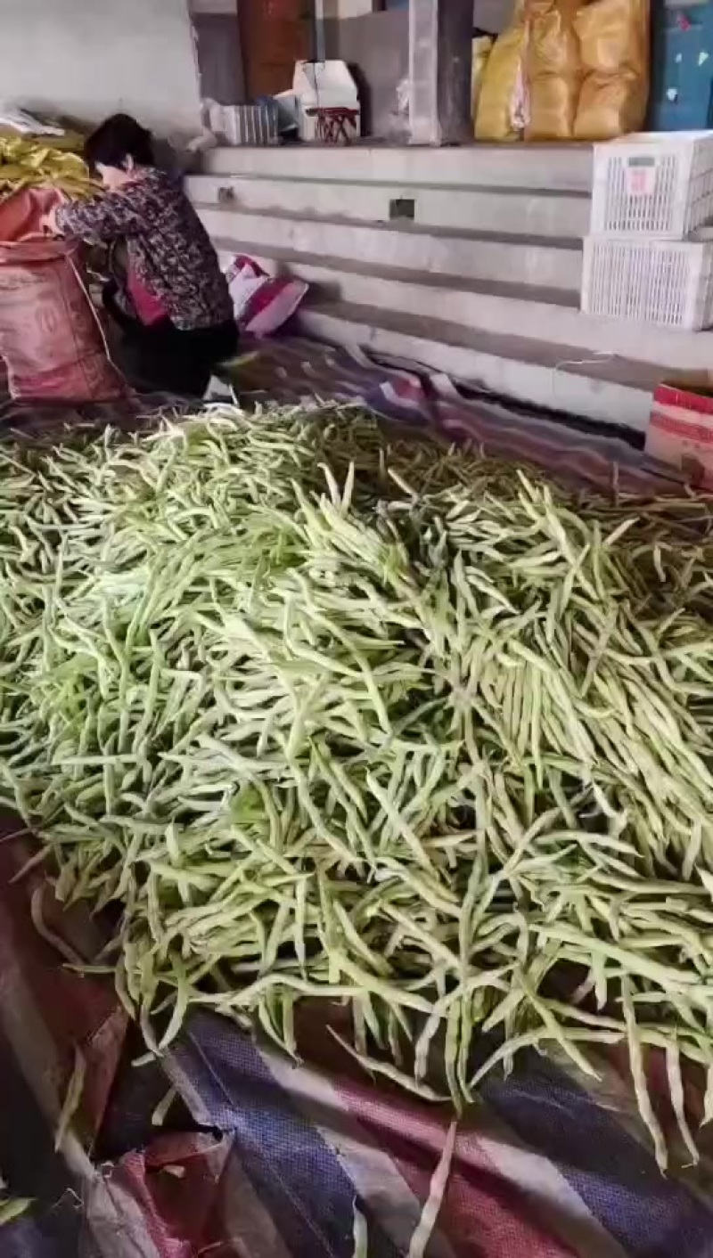 3.13号芸豆大量有货，欢迎各位老板前来采购