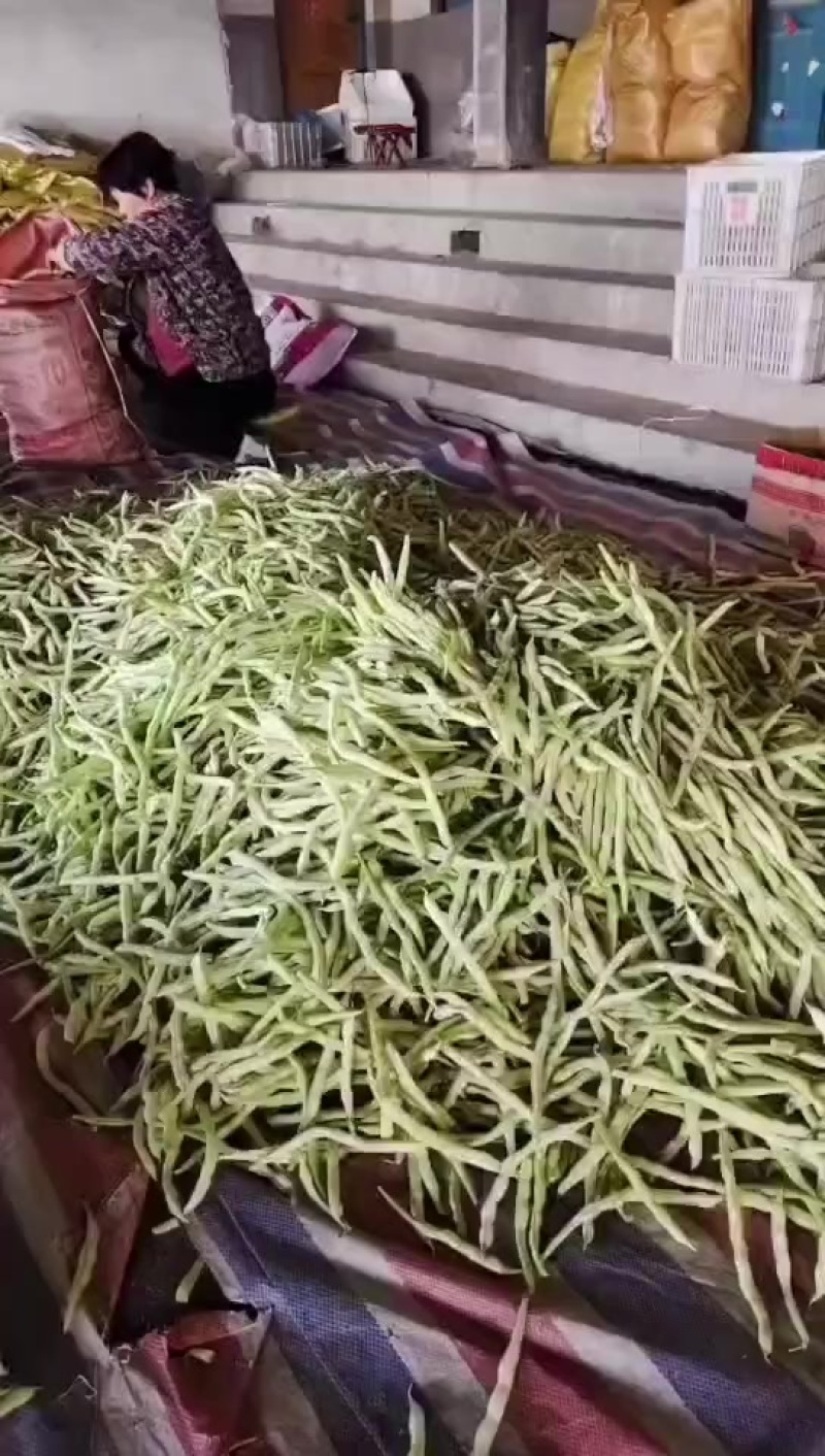 3.13号芸豆大量有货，欢迎各位老板前来采购