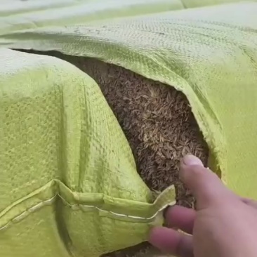 压缩稻壳验货中！