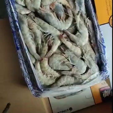 盐冻大虾