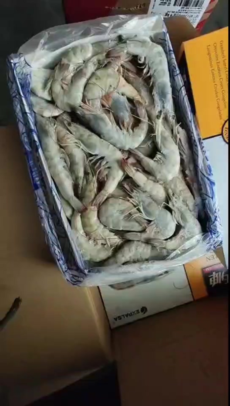 盐冻大虾