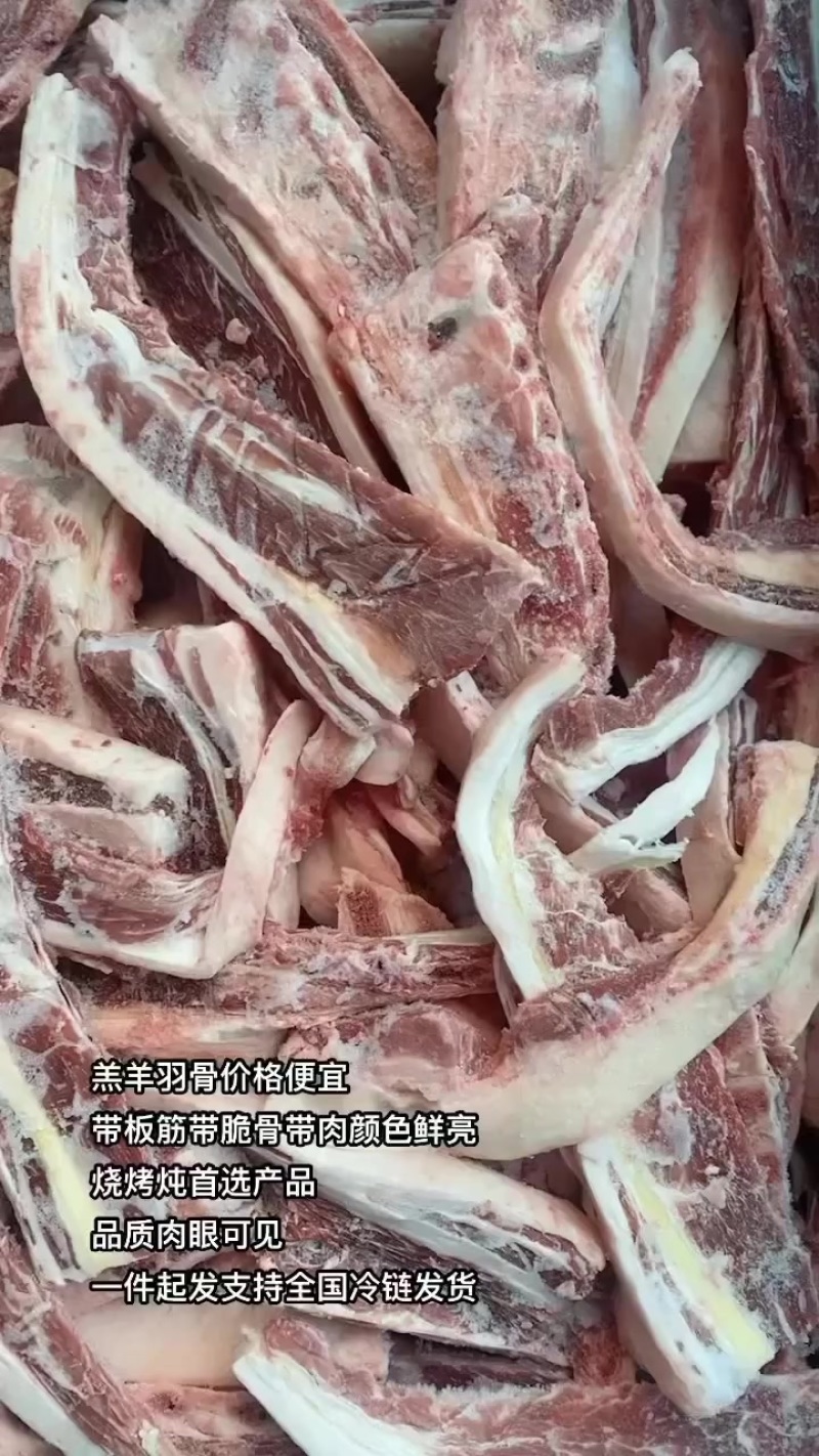 羔羊羽骨价格便宜