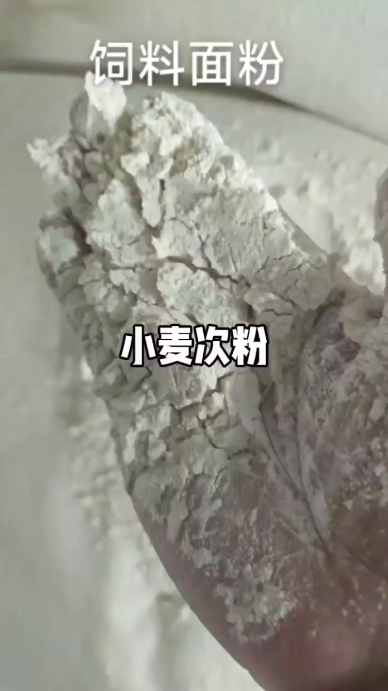 小麦标准粉灰分1.2,面筋34以上,水分12,蛋白