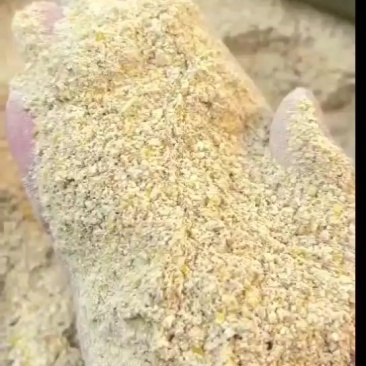 玉米次粉颜色好气味香蛋白8-10，脂肪5-7，灰分3