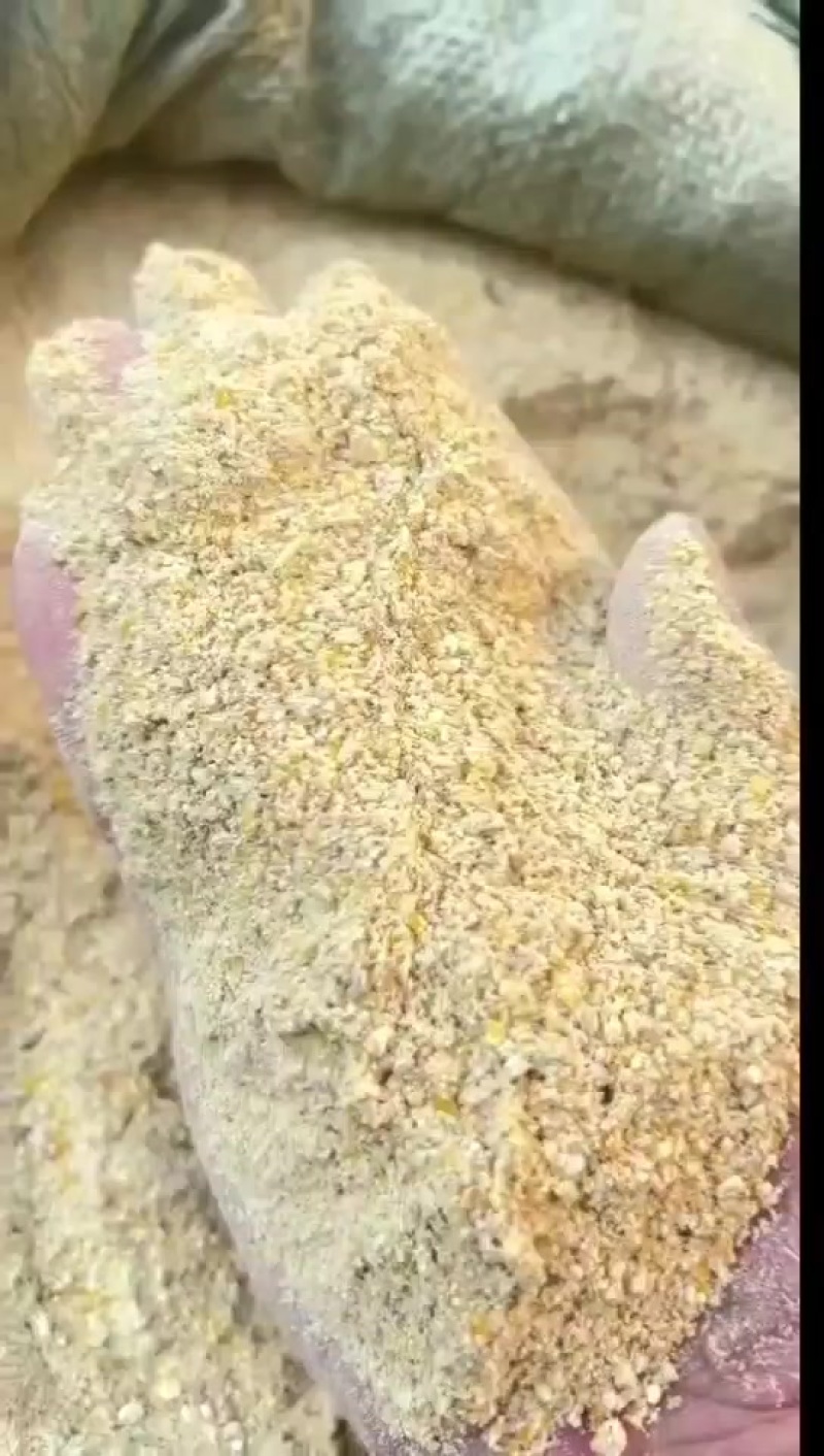 玉米次粉颜色好气味香蛋白8-10，脂肪5-7，灰分3