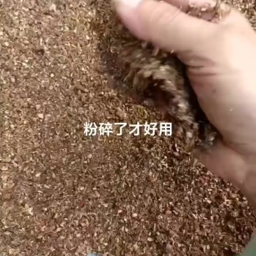 枣粉红枣粉糖分56，蛋白6%，灰分8，水分12左右富含多