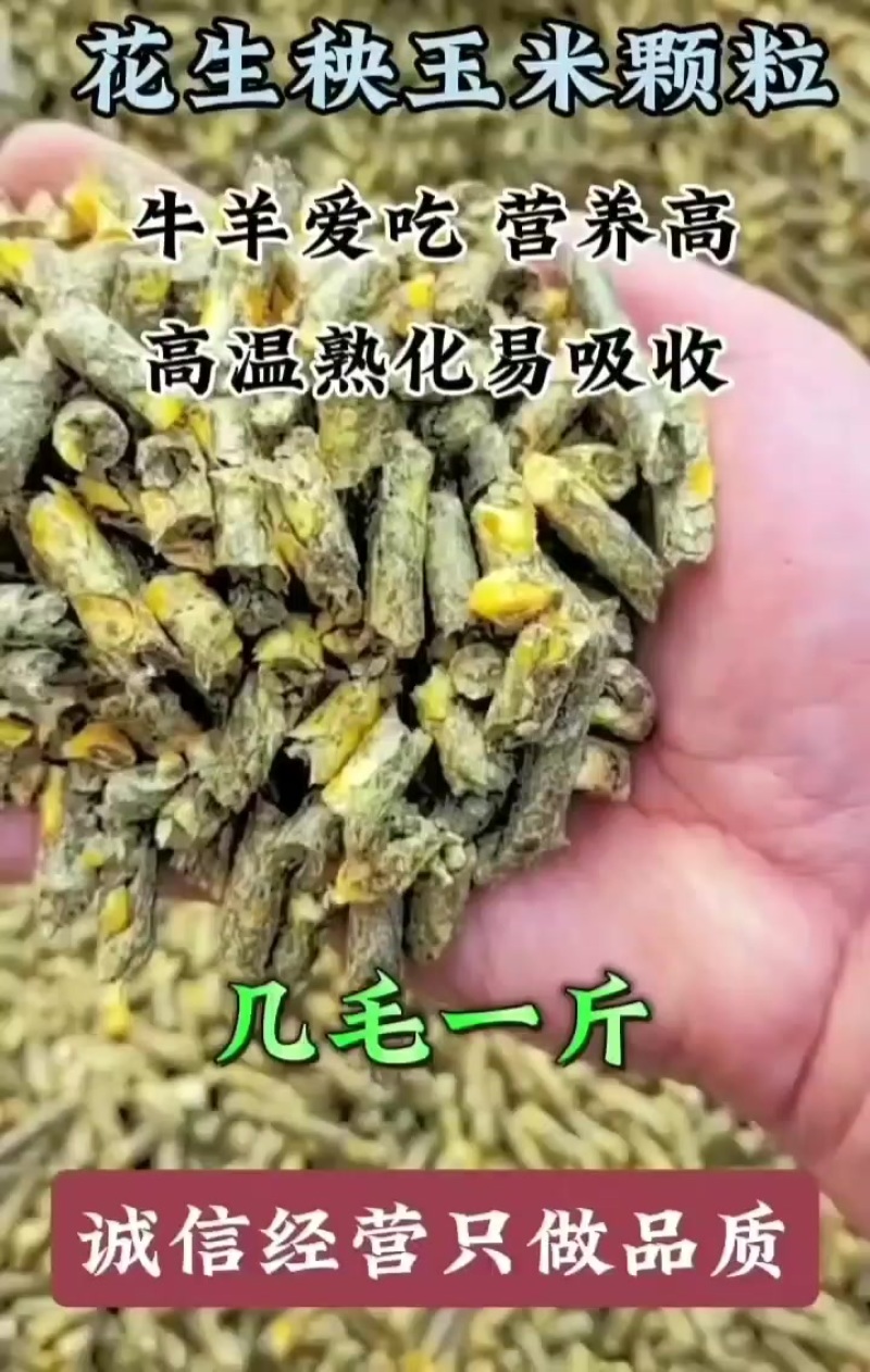 花生秧草颗粒是一种由花生秧草制成的饲料，主要成分包括纤维素、