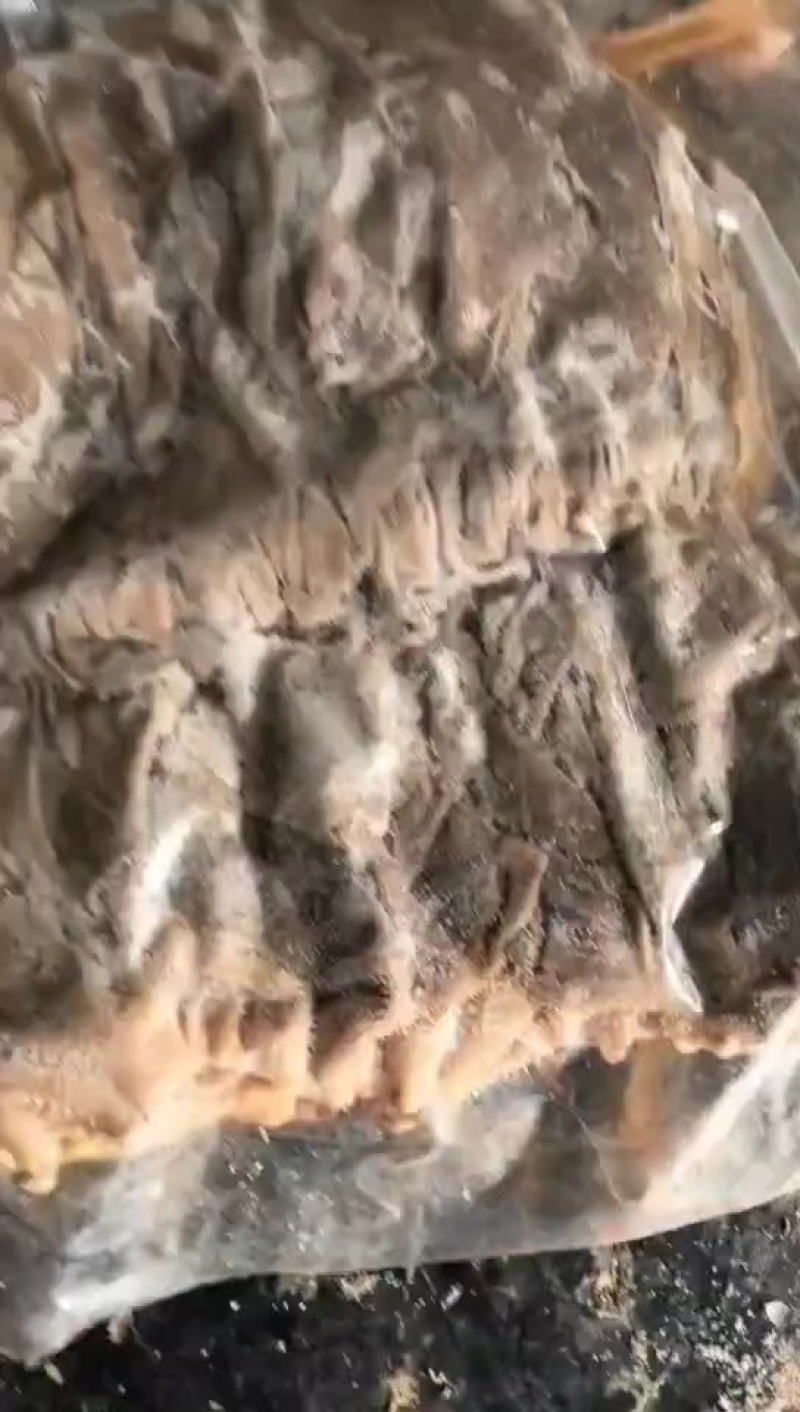 真空包装牛百叶