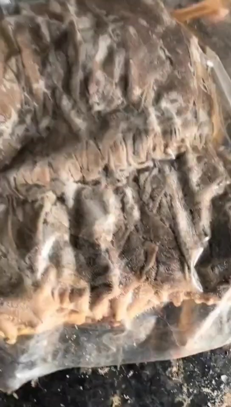 真空包装牛百叶