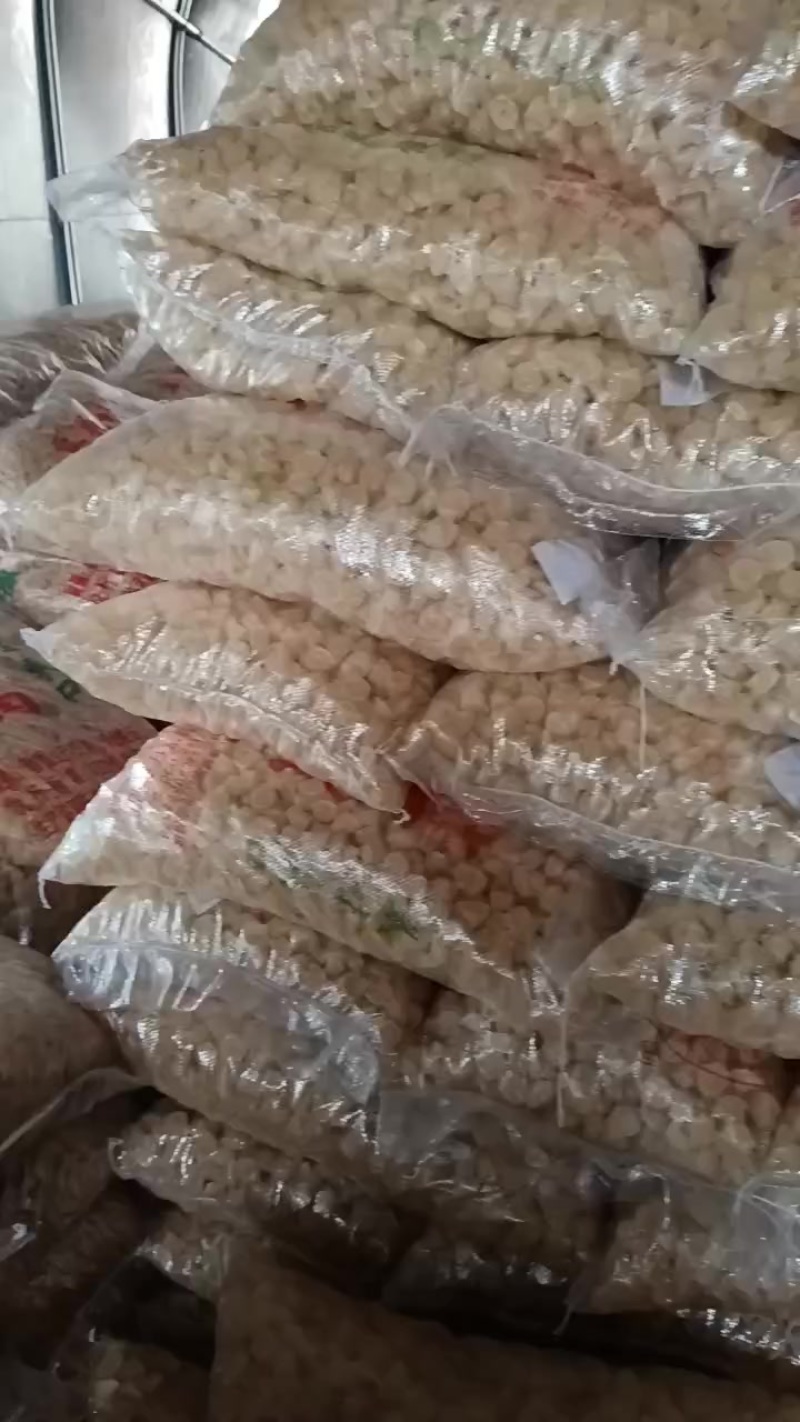 优质面藕面皮山东枣庄发货