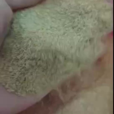 1.0统糠，厂家直发