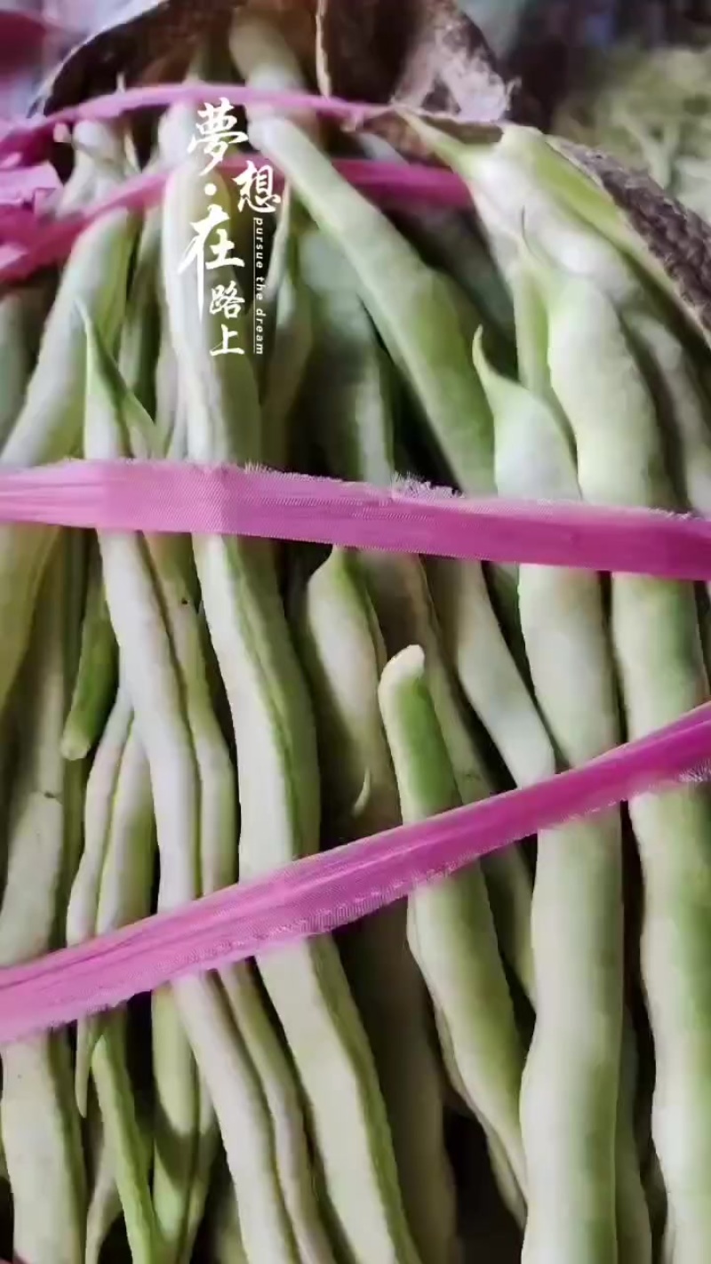 3.14号芸豆大量上市欢迎各位老板前来采购