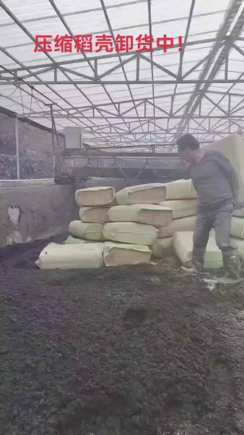 压缩稻壳卸货中！